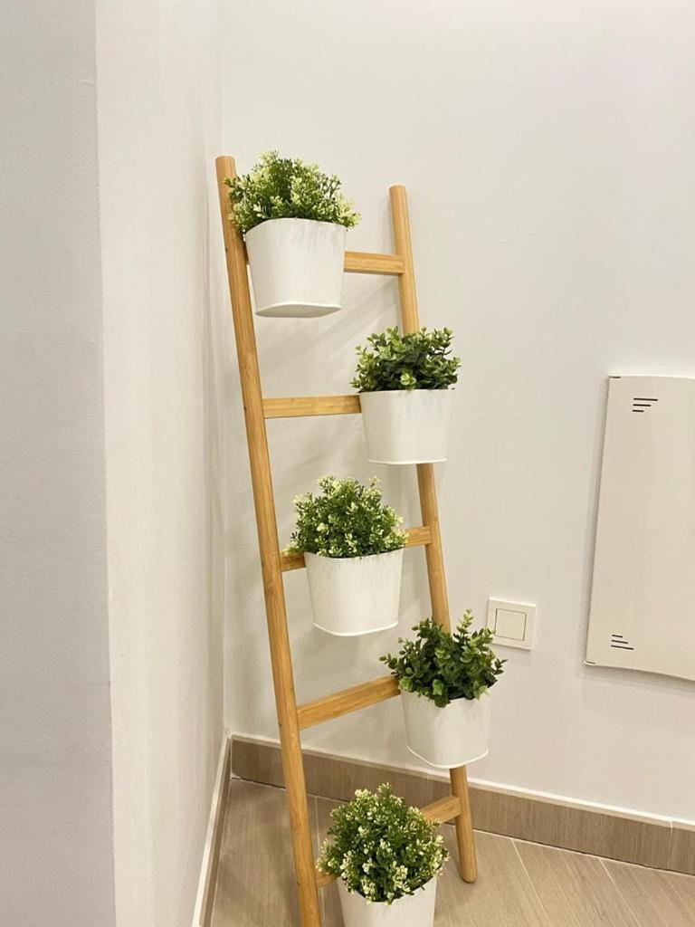 Brisa Puerto Marina Apartments Benalmádena Kültér fotó